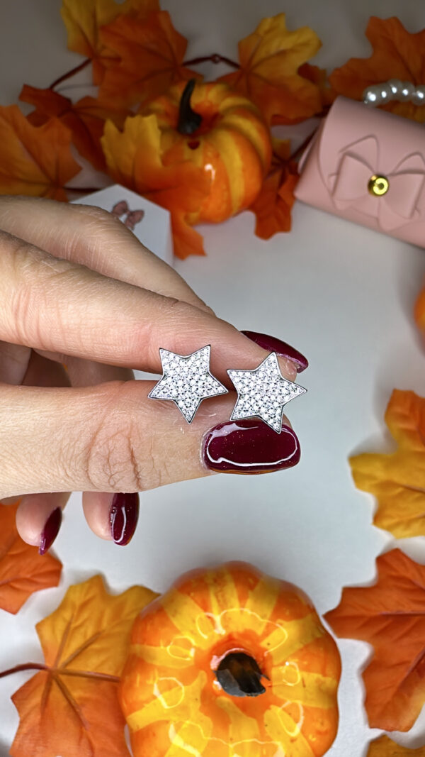 Orecchini Stelle Zirconate